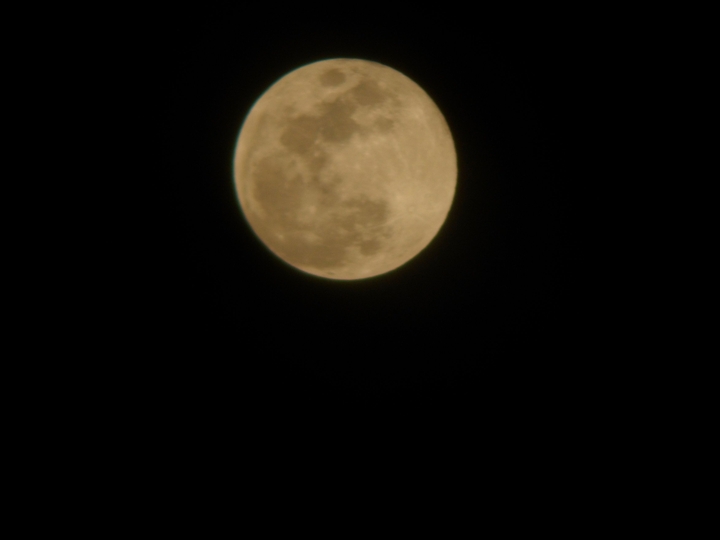 MOON