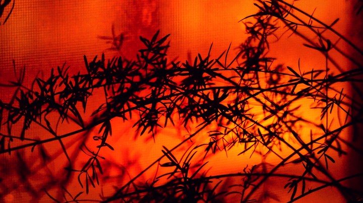 Redpassion