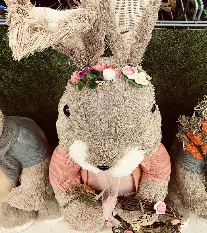Bunny