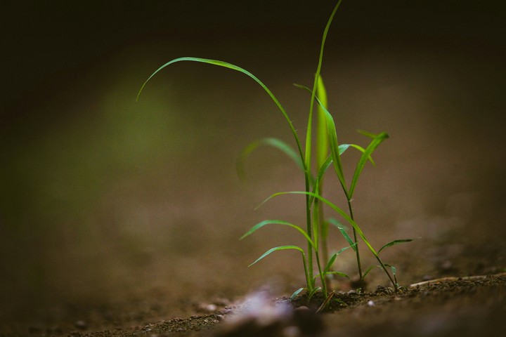 beauty in micro objects