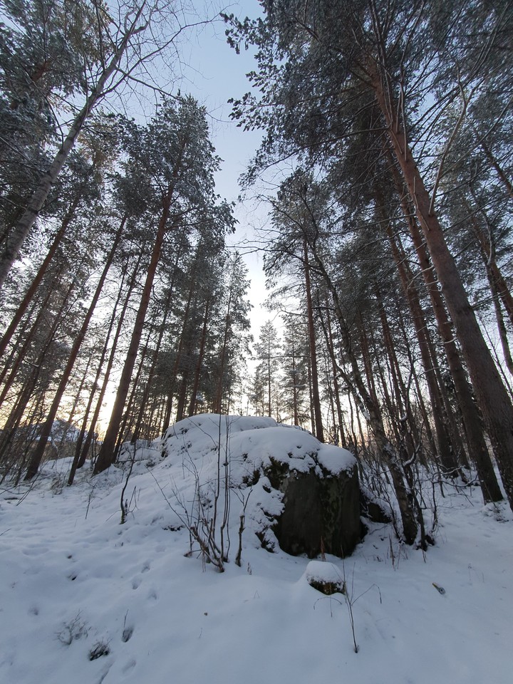 декабрь4