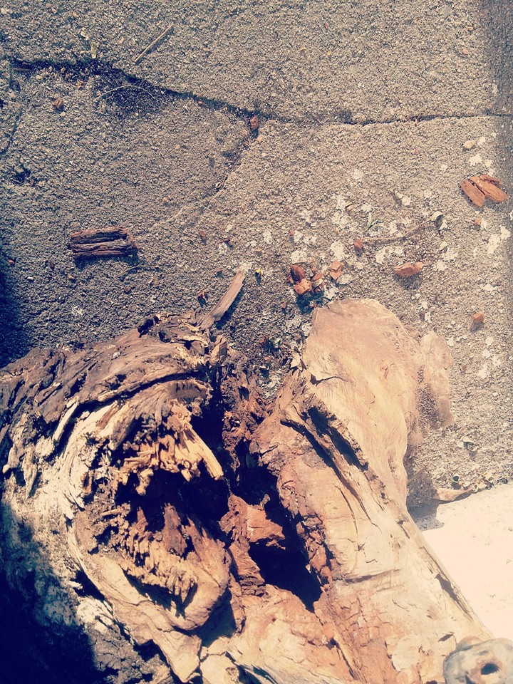 madera