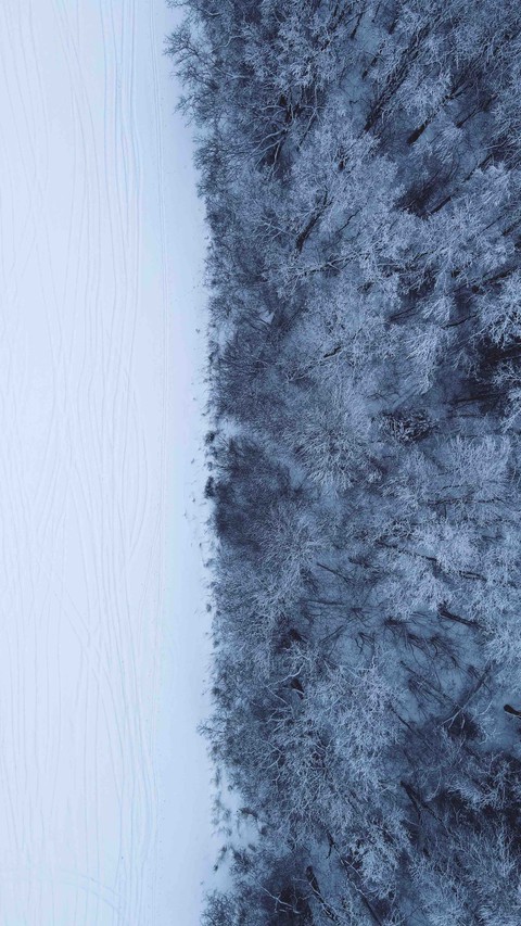 above ...