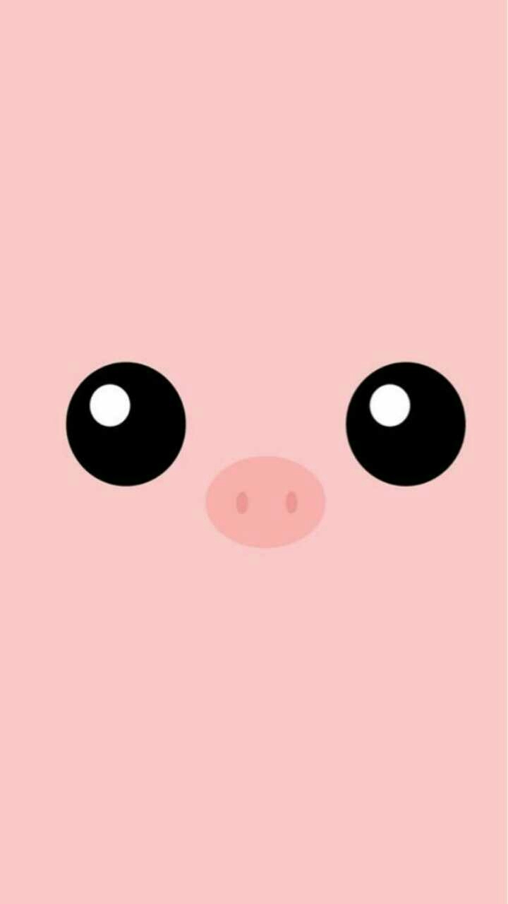 обои