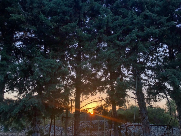 sunset