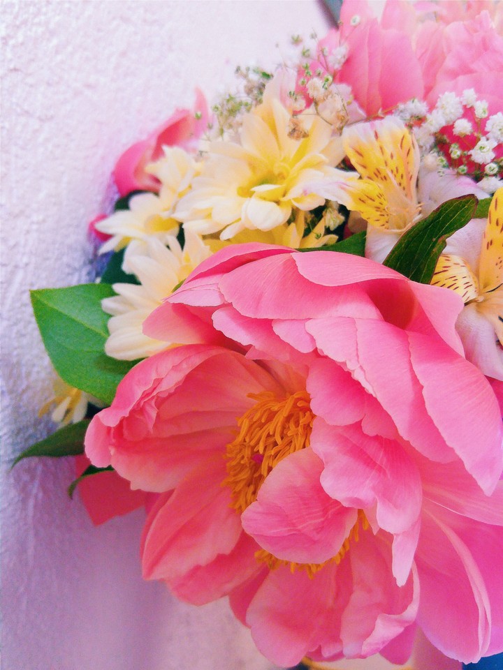 Pink flower