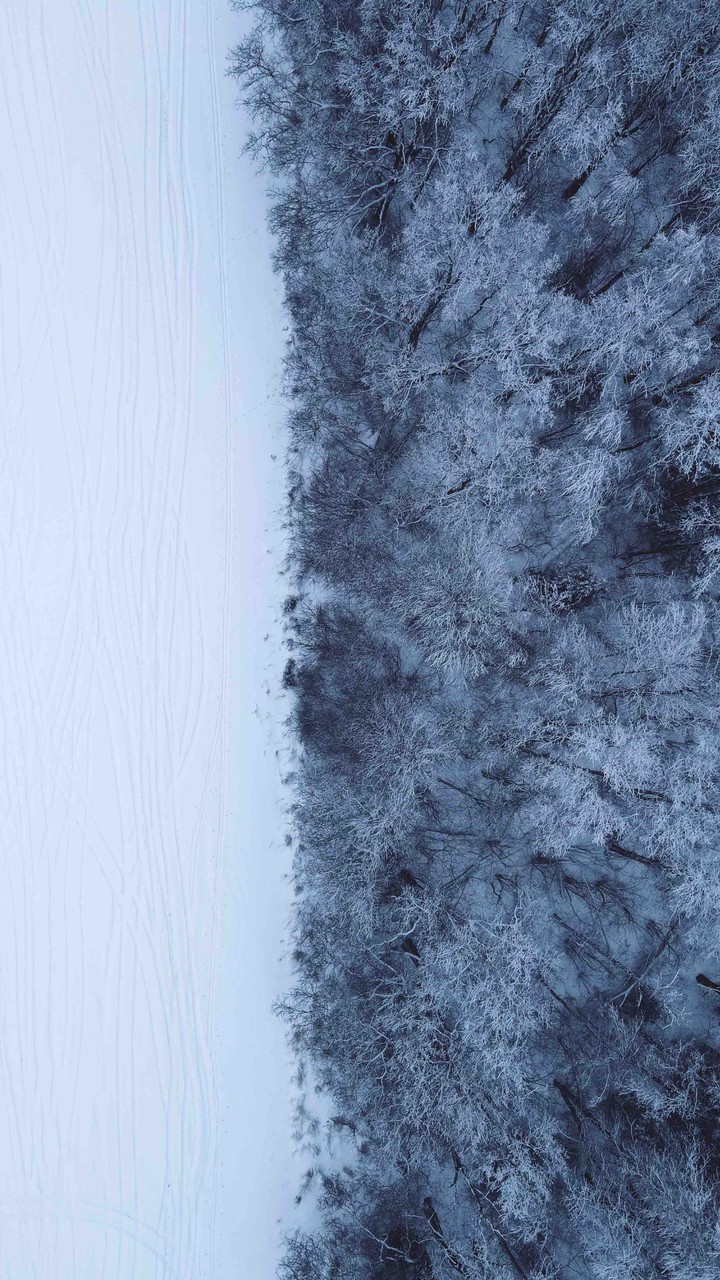 above ...