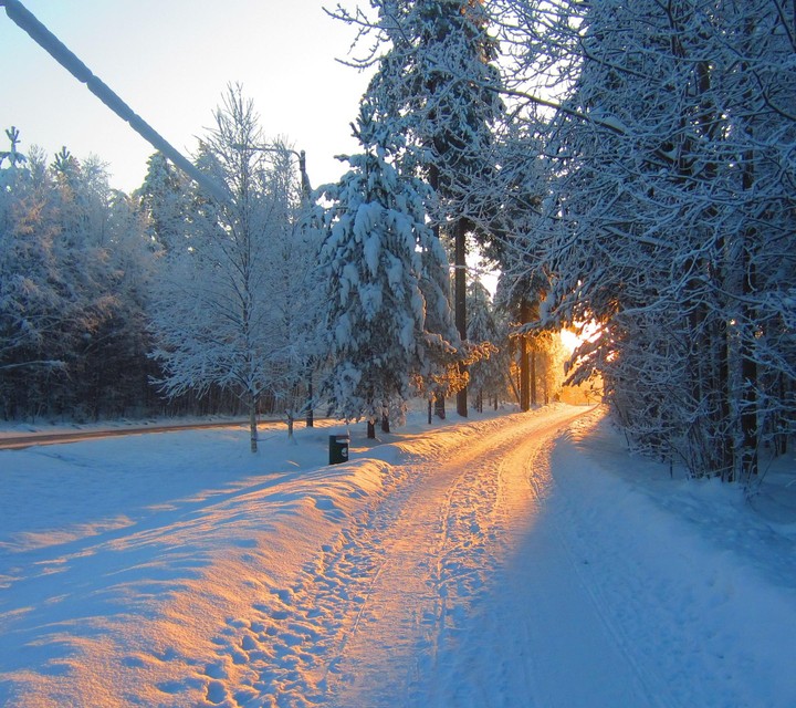 neve