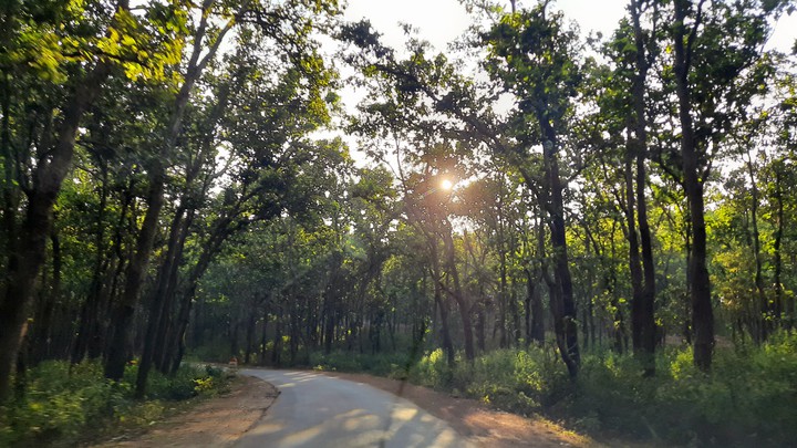 Nature