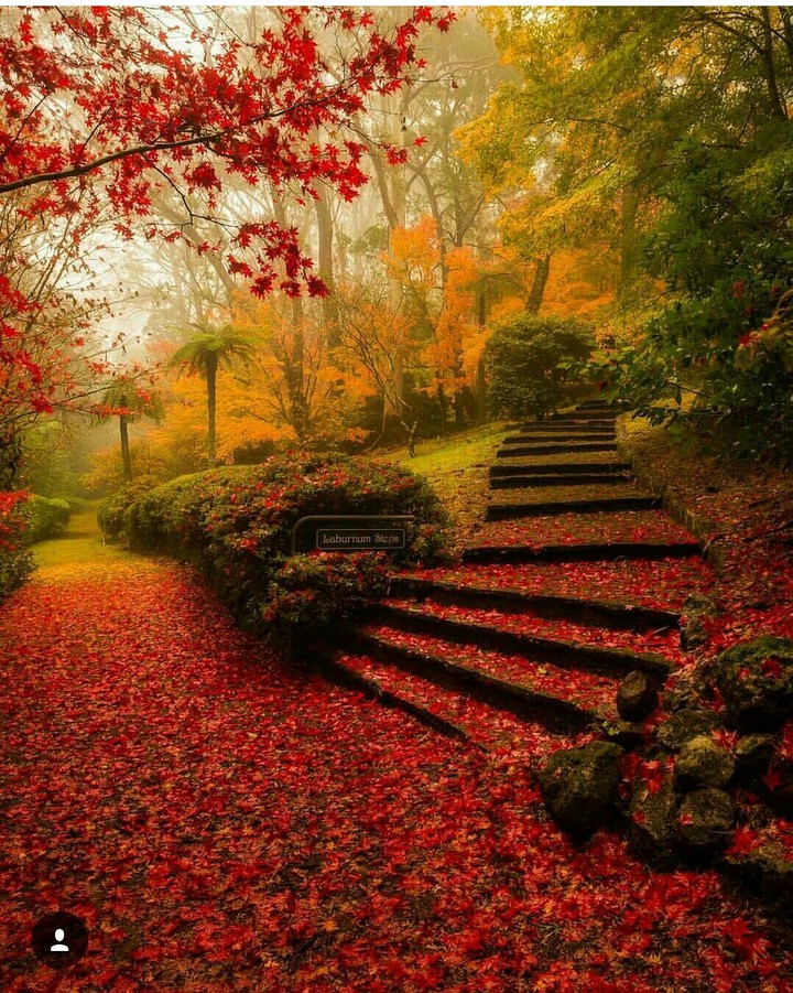 nature's beauty