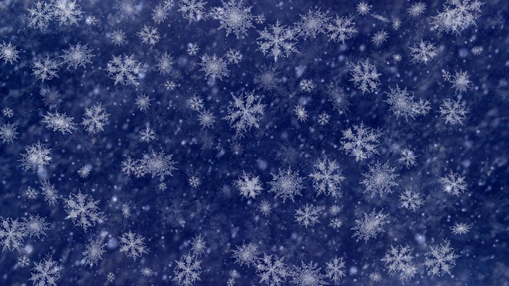 snowflakes