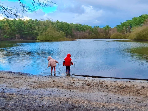 Lake view