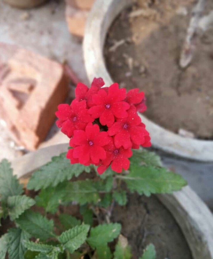 it my