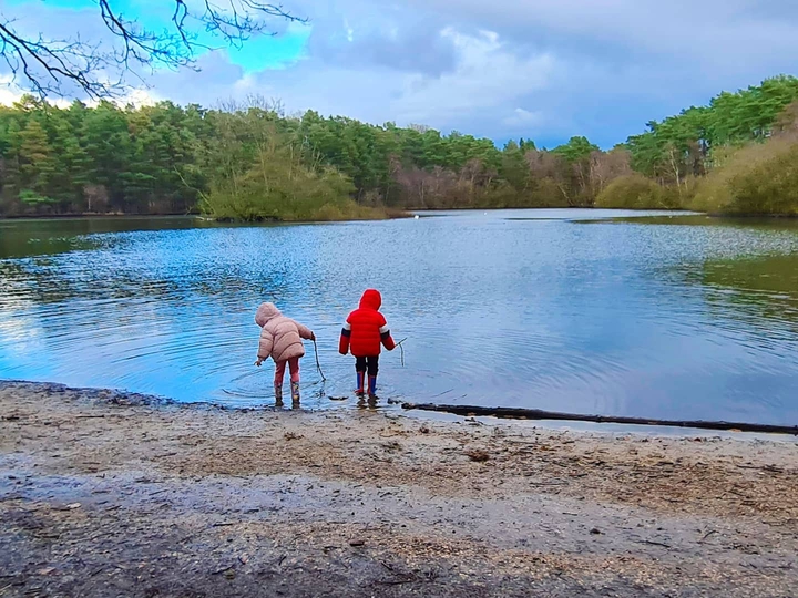 Lake view