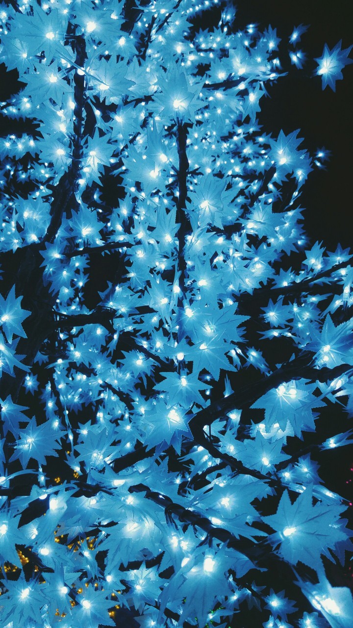 blue tree