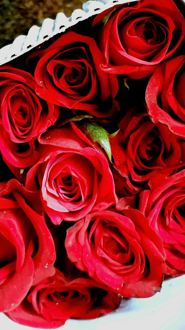 go red