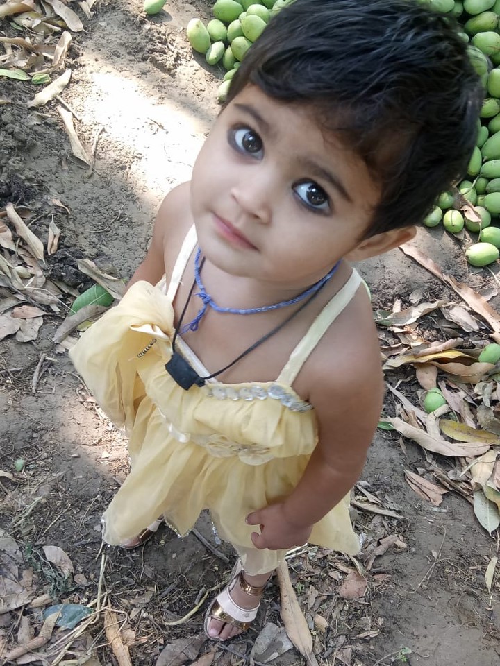 shokeen
