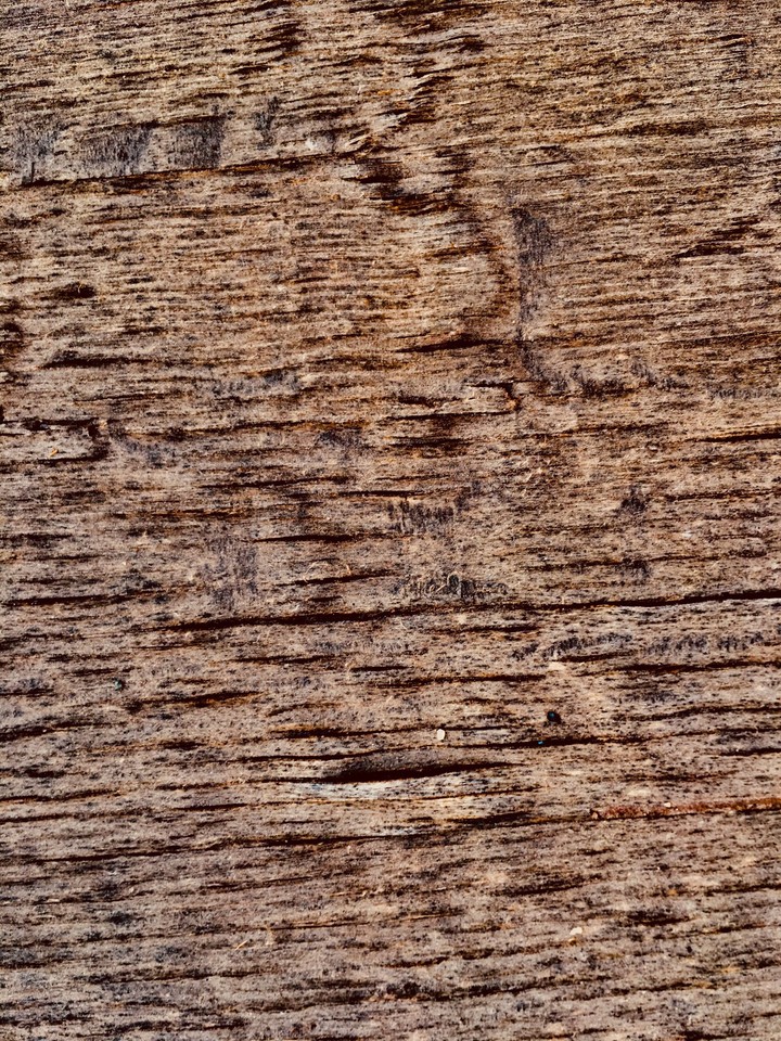 old wood