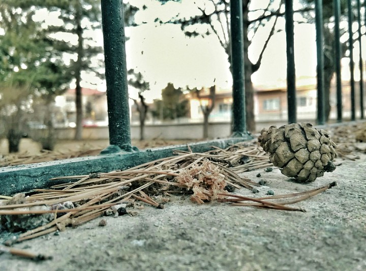 #cone