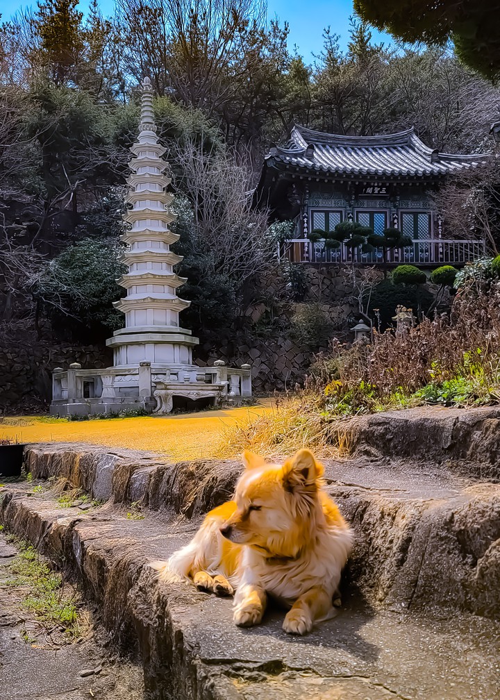 법천사