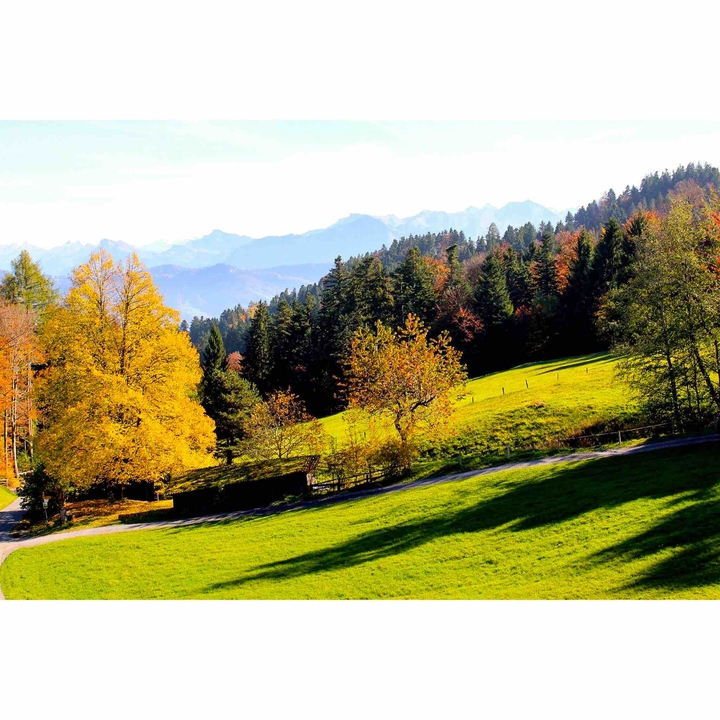 nature