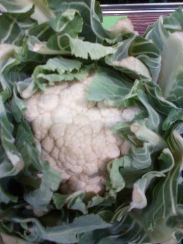 Blumenkohl
