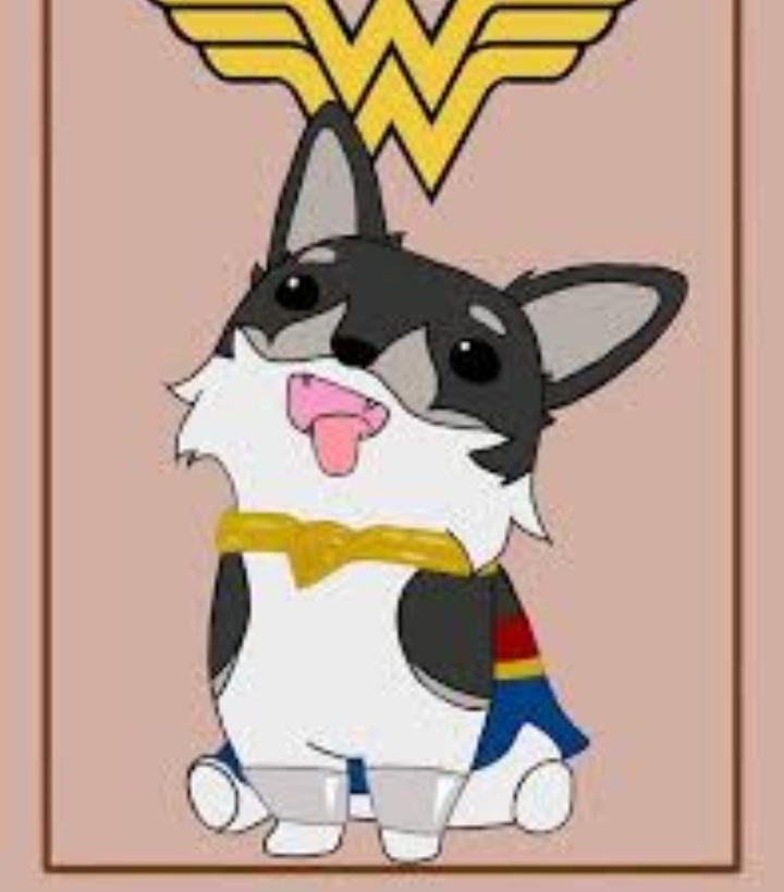 Wonderpup Zwei