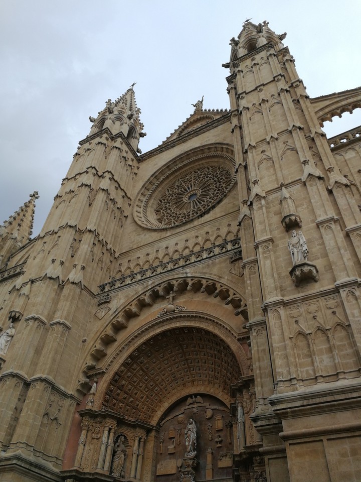 Palma ×××