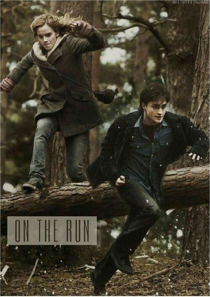 on the run