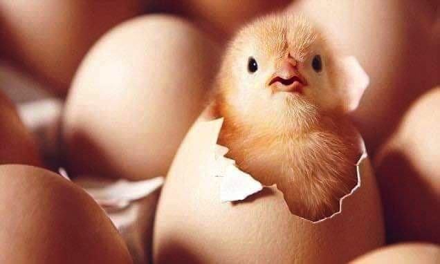 ❤