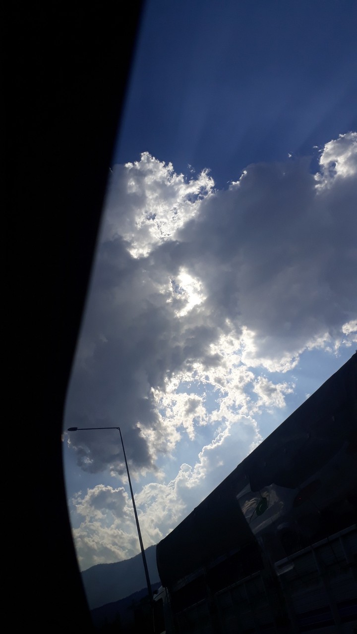 kızılçam