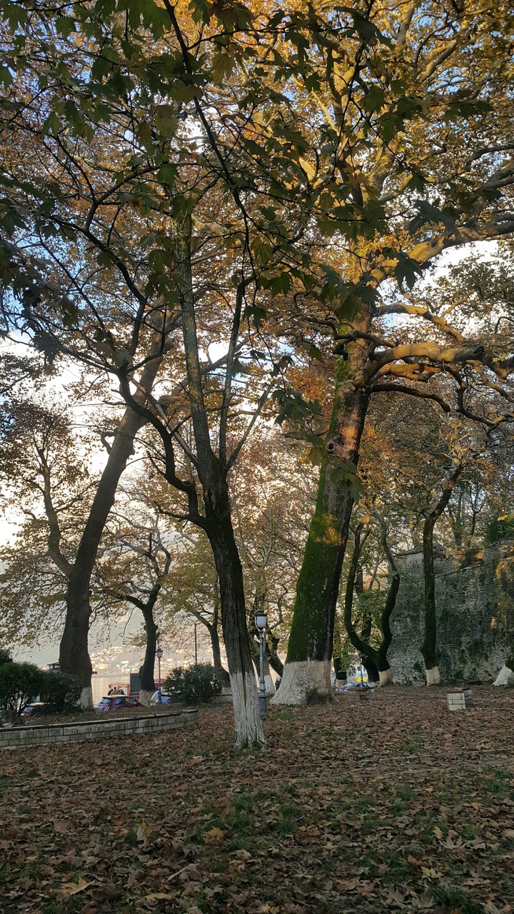 Ioannina