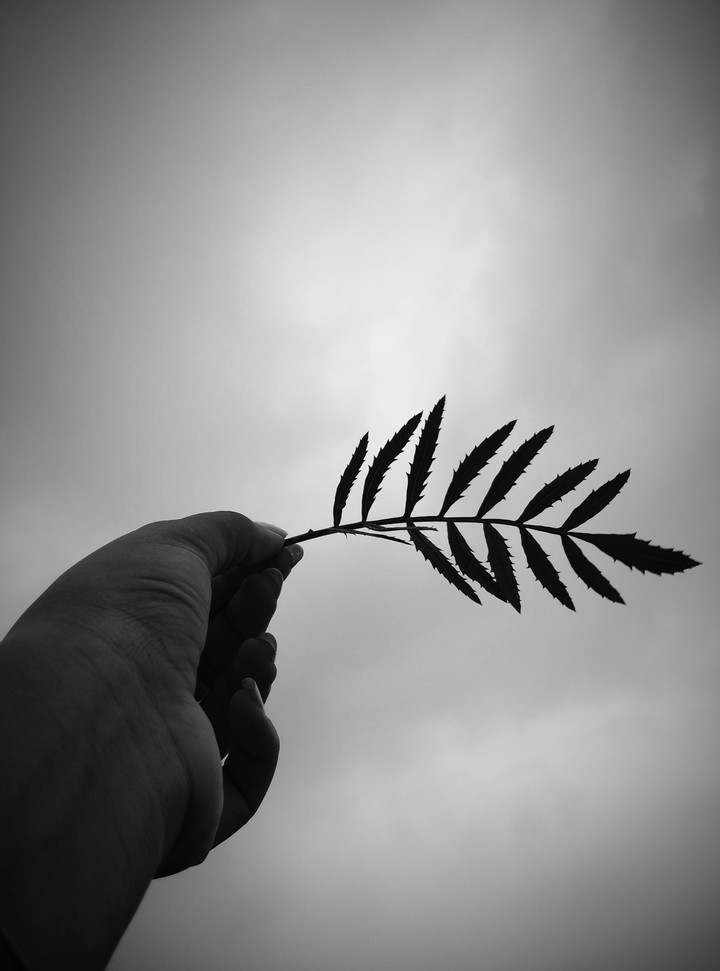 wind