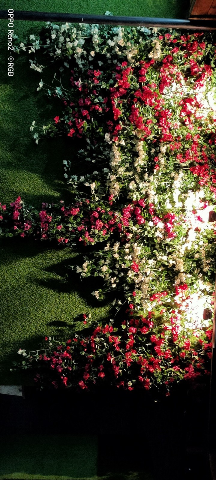 Rose Park