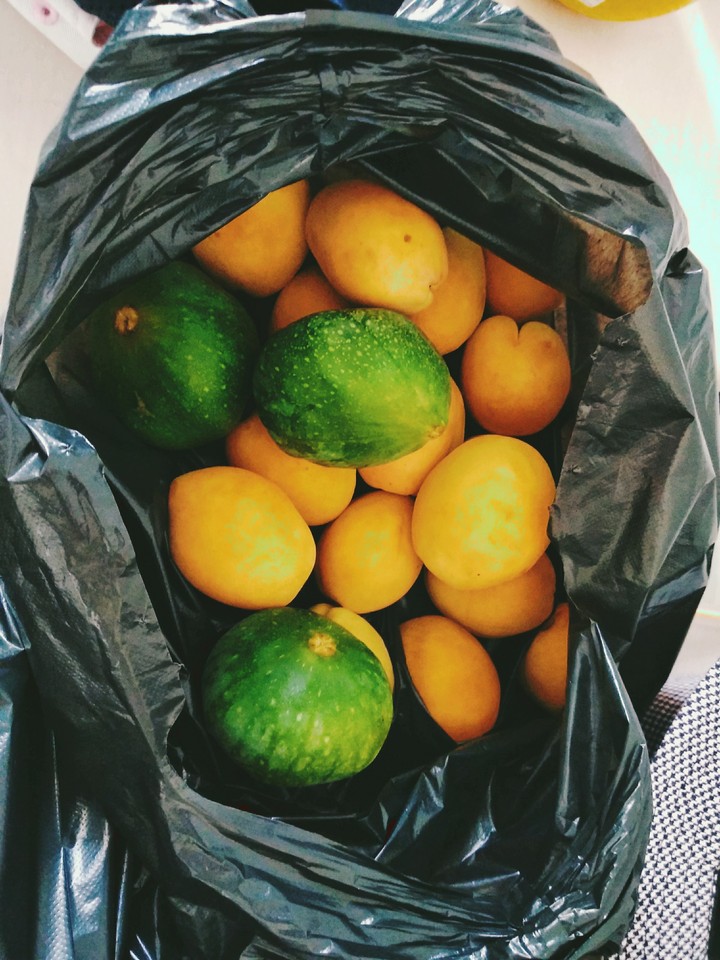 yummy fruits