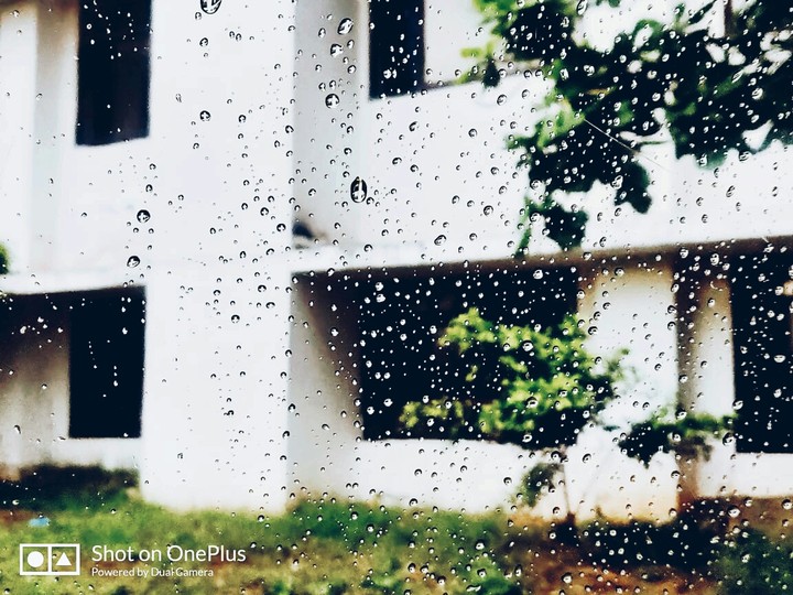 dew drops