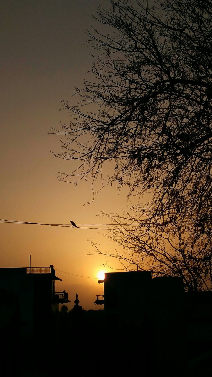 beautiful sunset in Udaipur, Rajasthan