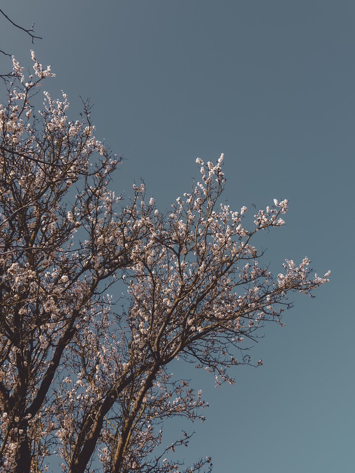 Spring is here