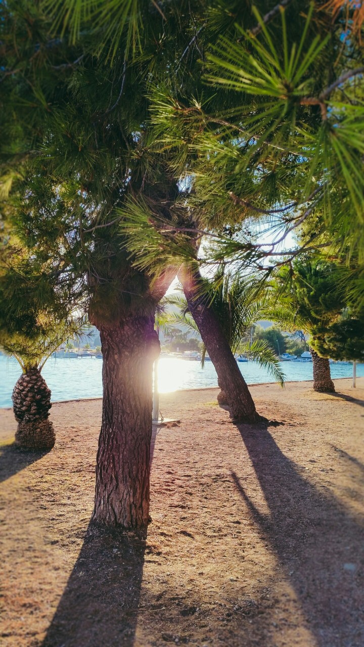 Sun of Croatia