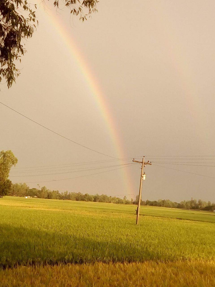 rainbow