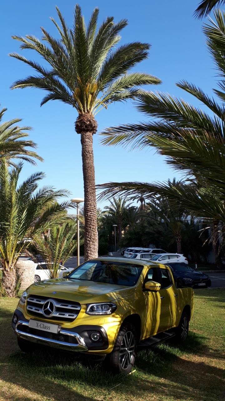 mercedes benz