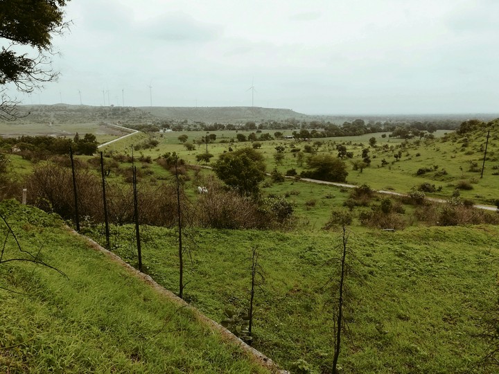 farms