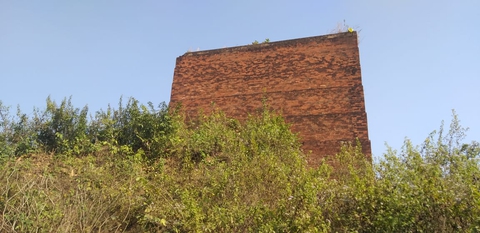 sfondi vegetation, brick