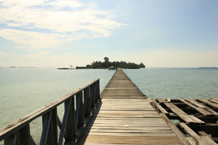 The Bridge