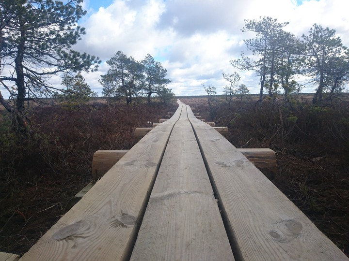 Track