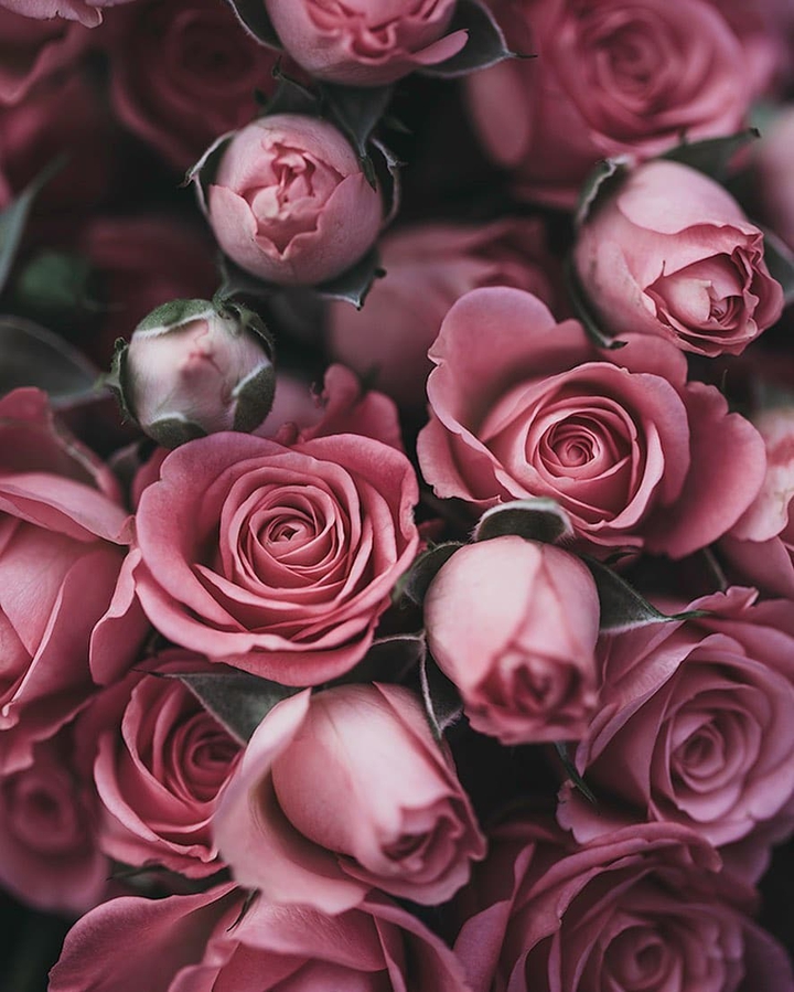 Love flowers follow for more
