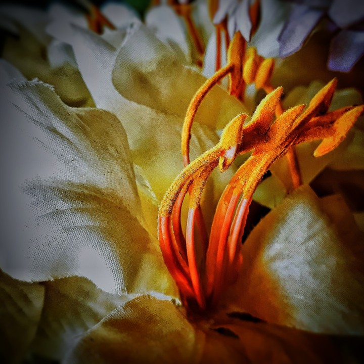 Shades of orange.