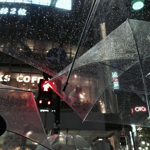 Rain