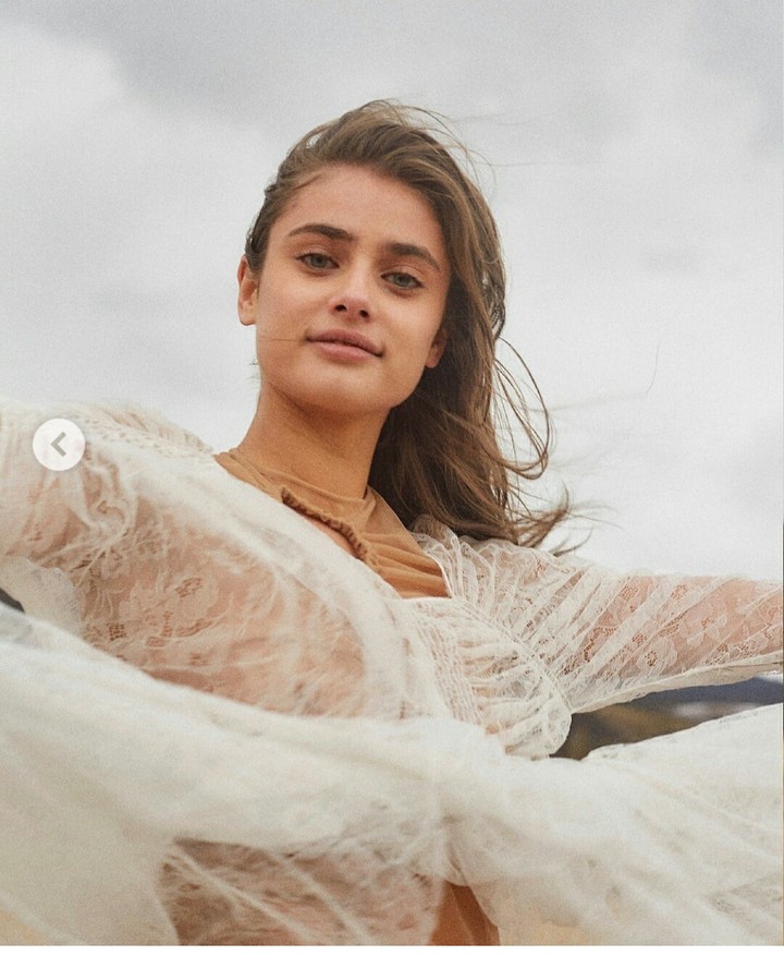 taylor hill