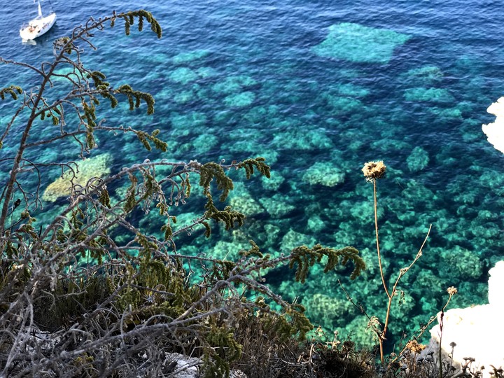 Corsica